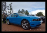 Ford Mustang GT.DNG-1